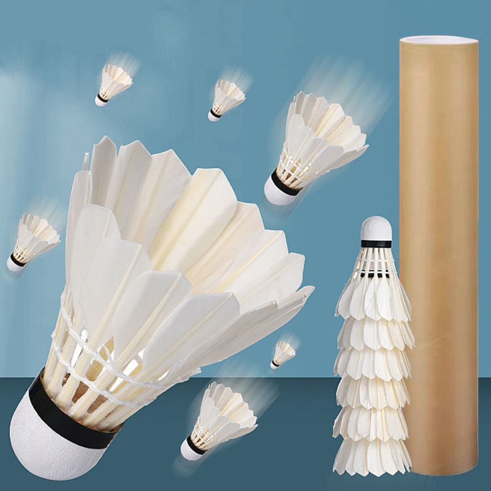 3/6/12 Pezzi Nuovi Volani da B - Feather Shuttlecock recensione e prezzo